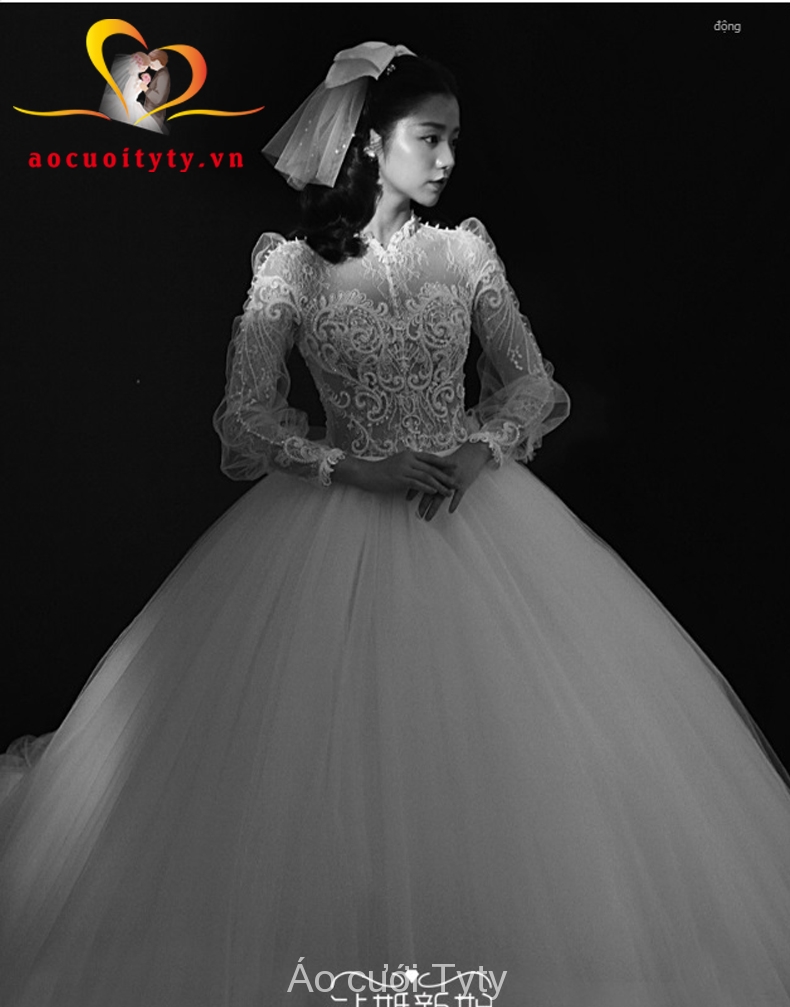 Váy cưới tay dài Hàn quốc sang trọng, đơn giản